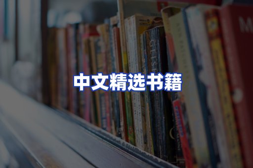中文精选书籍
